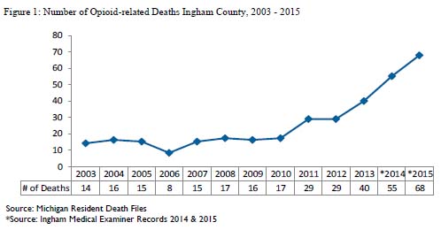 Bar Graph showing the increase in drug overdoses between 2003-2015