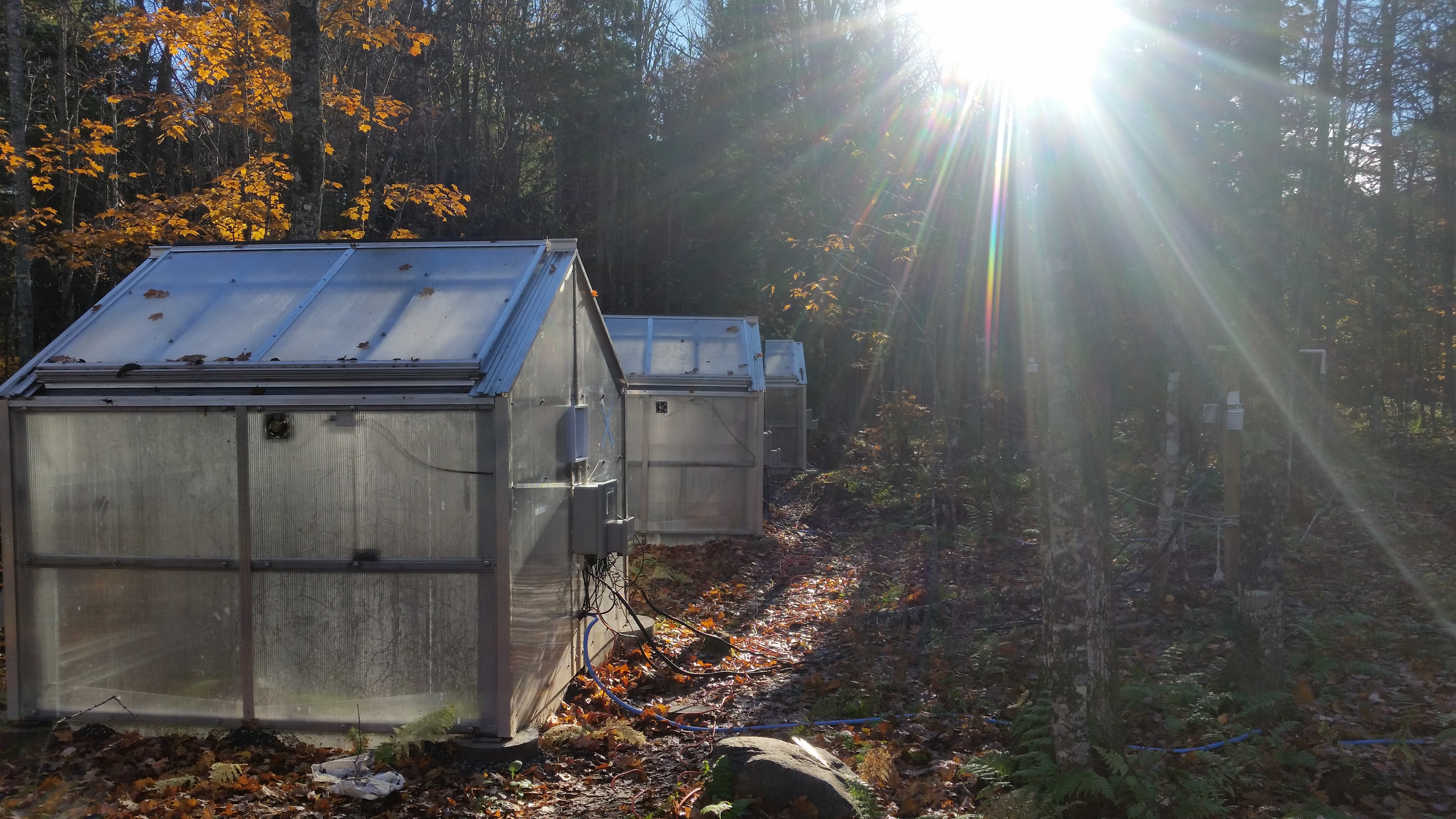 One micro greenhouse in Houghton captures current conditions, while two others on the site reflect climate change scenarios.