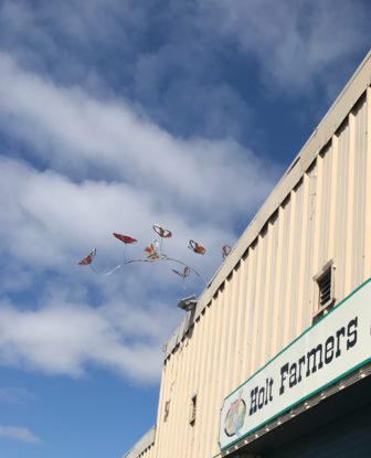 Butterfly art hangs above the Holt Farmers' Market on March 21.