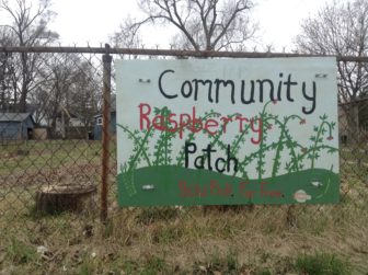 A sign for the Community Raspberry Patch on Hayford Street. It is a "u-pick" patch, where community members can come and pick their own raspberries to take home. Photo by Maxwell Evans
