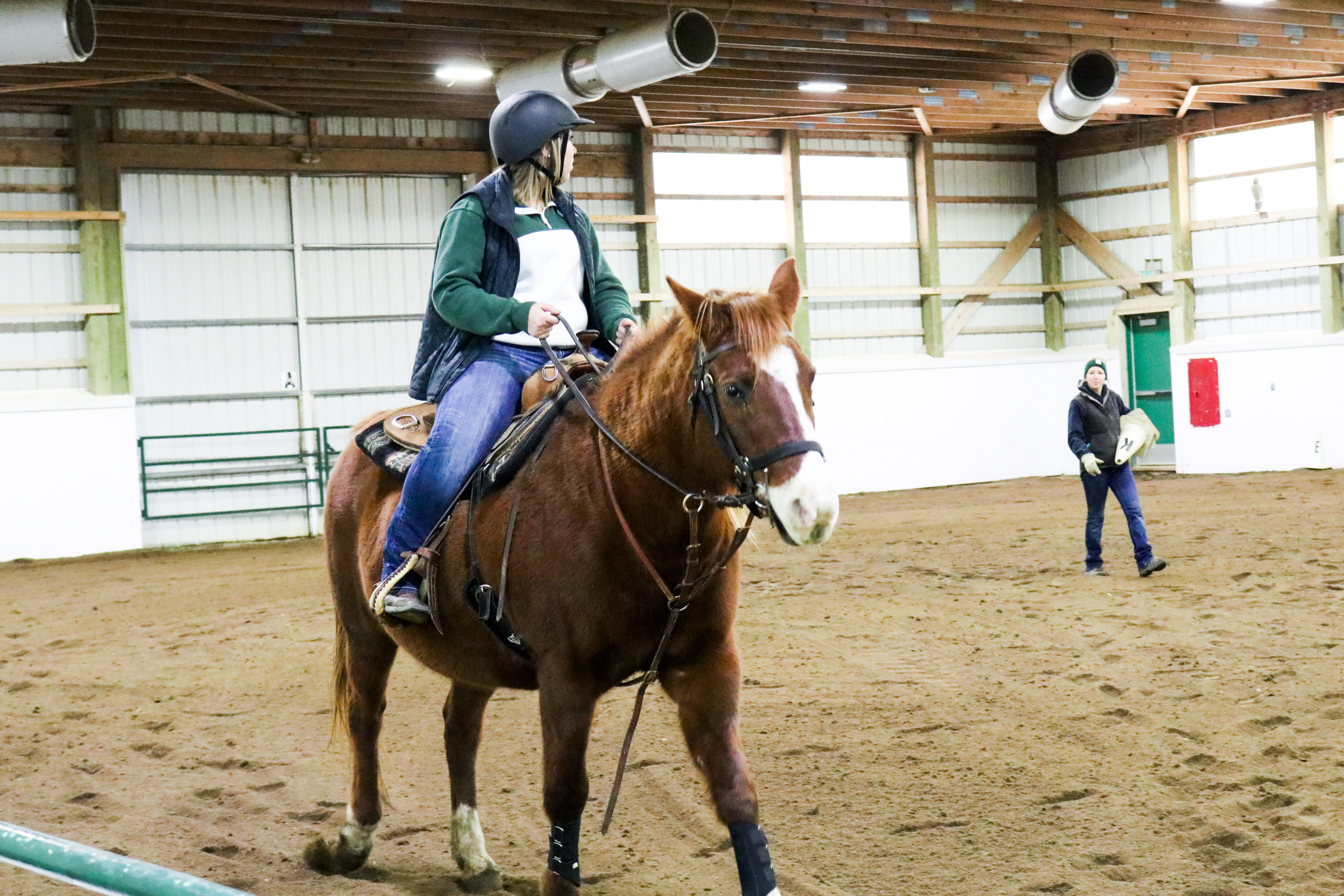 Photo gallery MSU horse barn a 'hidden treasure' Spartan Newsroom