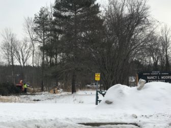 Workers are cutting down trees on a snowy day to start building process.