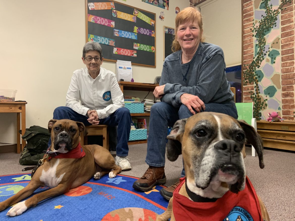 Therapy dogs giving a helping paw at 