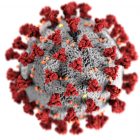 This illustration, created at the Centers for Disease Control and Prevention, shows the structure of coronaviruses. A novel coronavirus, named Severe Acute Respiratory Syndrome coronavirus 2 (SARS-CoV-2), was identified as the cause of an outbreak of respiratory illness first detected in Wuhan, China, in 2019. The illness caused by this virus has been named coronavirus disease 2019 (COVID-19).