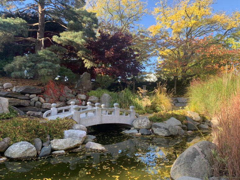Morning view of the koi pond at the Shigematsu Memorial Garden at Lansing Community College.