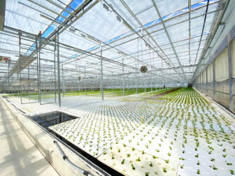 The indoor farming operation at Revolution Farms in Caledonia uses a broad-spectrum light. 