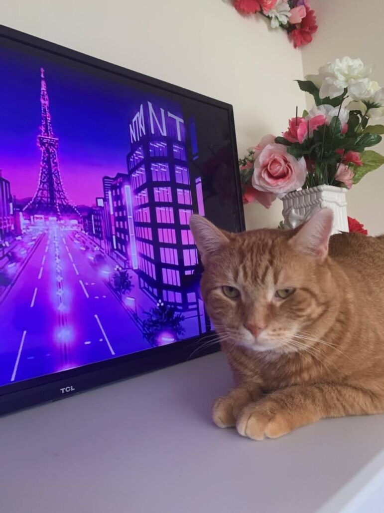 Cheeto, an orange tabby, lays next to an image showing a city scene.
