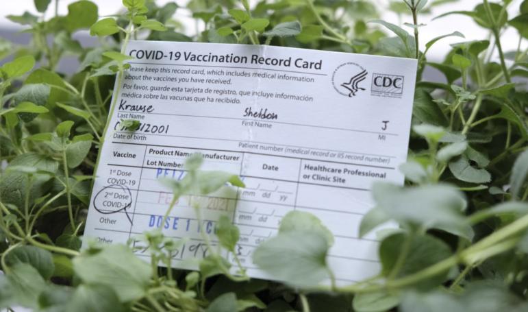 A vaccination form with a plant in the background
