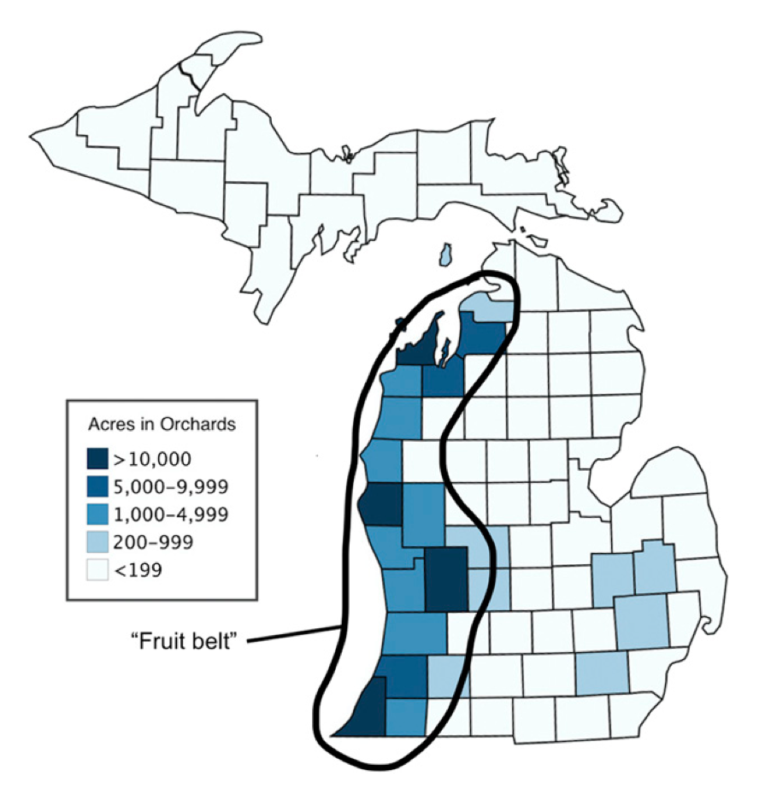 The distribution of orchards throughout Michigan. Outlined, the west coast of the state along Lake Michigan is typically referred to as the “fruit belt” because of its high concentration of orchards and fruit production.