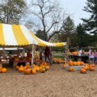Customers shop for pumpkins, gourds and squash at Barkham Creek Farms on Oct. 10.