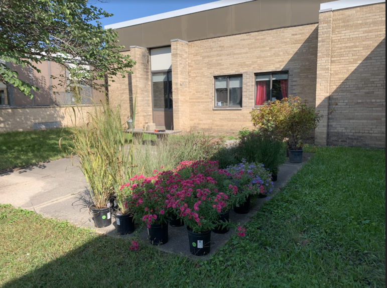 This image shows the Haslett Middle School with plants that were purchased for the project