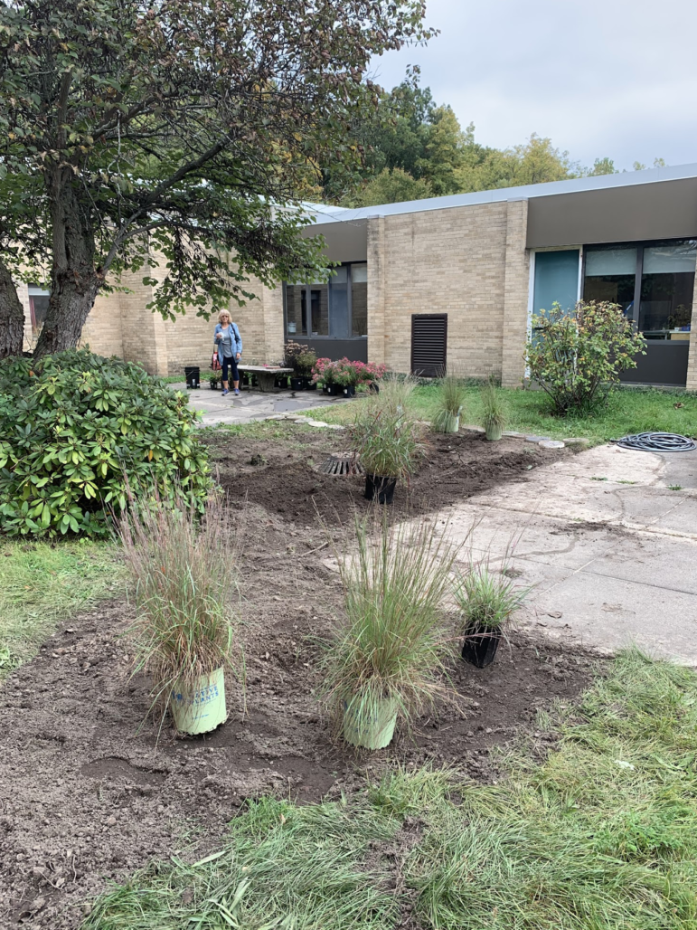 This image show plants beginning to be planted at Haslett Middle School