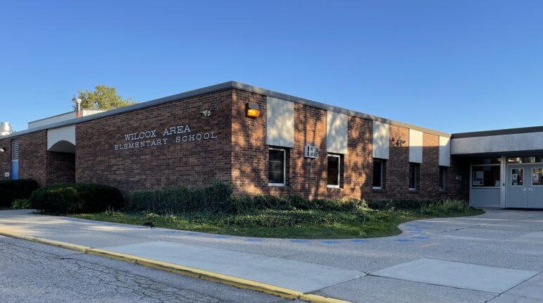Photo of Wilcox Area Elementary School