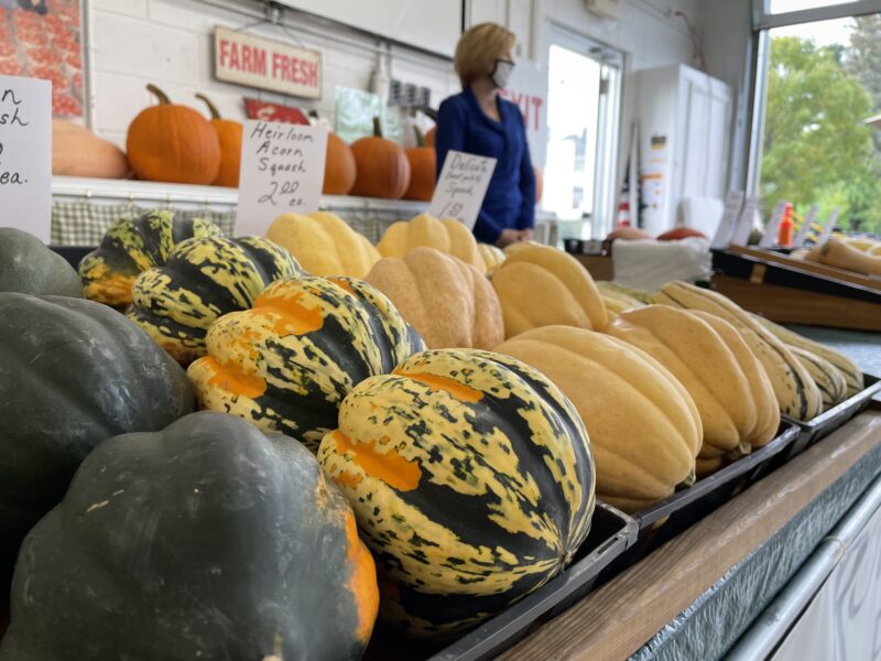rows of squash lay on at a stand, with a woman standing behind them.
