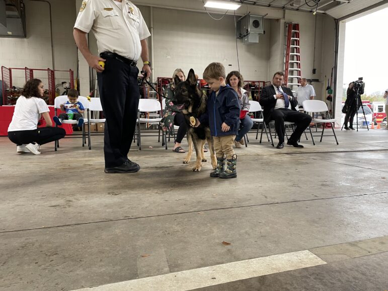 A small boy holds the badge of a dog.
