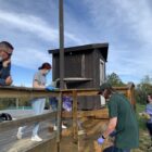 Volunteers coat a deck at Hawk Island Park in south Lansing as part of the Community Mental Health Authority of Clinton, Eaton and Ingham Counties’s teen program. Those in charge of the program hope that such experiences will help the teens gain experience for their first jobs.