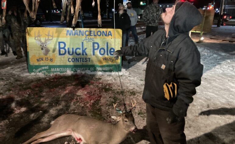 Winch operator hoists a freshly killed buck onto the buck pole in downtown Mancelona on opening night of firearm deer hunting season.