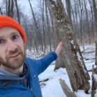 Derek Shiels of the Little Traverse Conservancy points to a dead ash tree at the Charles Ransom Nature Preserve in Charlevoix.