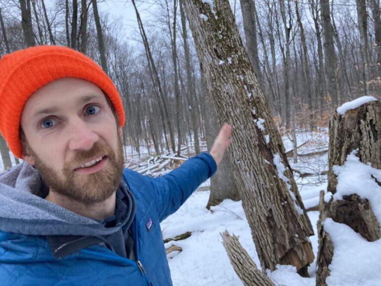 Derek Shiels of the Little Traverse Conservancy points to a dead ash tree at the Charles Ransom Nature Preserve in Charlevoix. 
