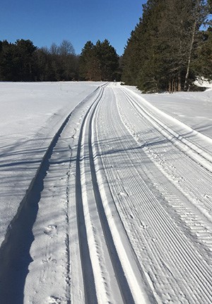 The groomed and tracked ski trails at North Higgins Lake State Park.