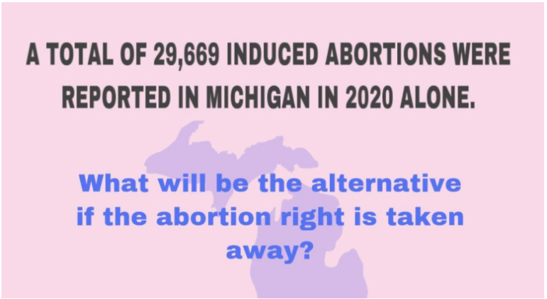 A total of 29,669 Induced Abortions were reported in Michigan in 2020 alone