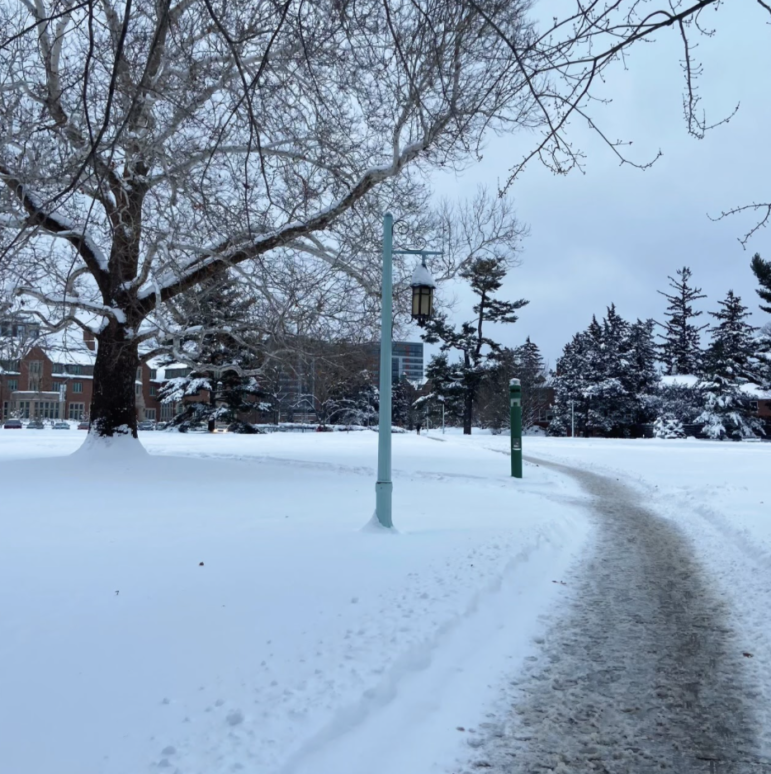 Curving path through snow on campus.