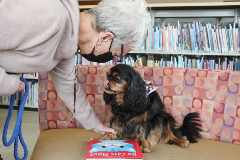 photo of a dog and person inside a library