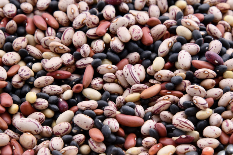  Assorted dry beans. Michigan harvested more than 500 million pounds of dry beans from 1,085 farms in 2017.