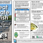 An Eat Safe Fish advisory poster for the Saginaw Bay area.
