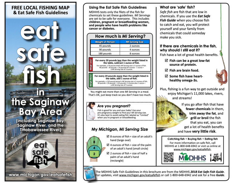 An Eat Safe Fish advisory poster for the Saginaw Bay area.