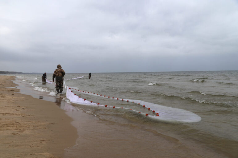 NOAA scientists prepare to seine net Lake Michigan for juvenile lake whitefish