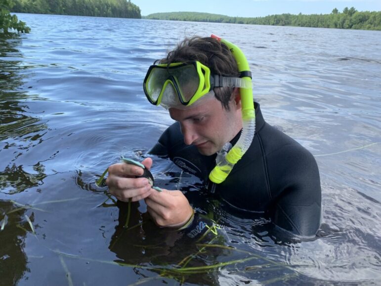 Undergraduate researcher Michael Hillary measures a mussel.