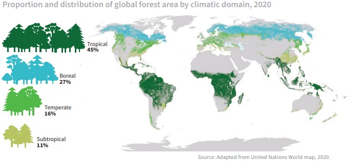 A map shows boreal, temperate, tropical and subtropical forest geographic distribution.
