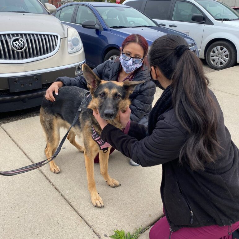 German shepherd at a mobile clinic in Detroit. Nonprofits say they hope to step up help for pets of unsheltered people