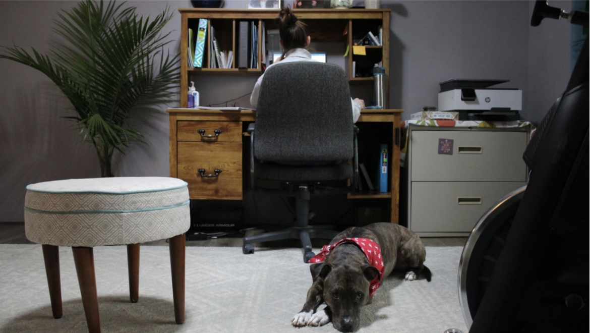 Woman sits at desk with dog laying next to her.