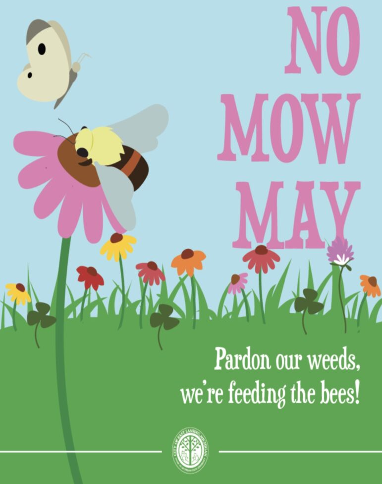 Poster depicting flowers and a bee with the text “No Mow May. Pardon our weeds, we’re feeding the bees!”