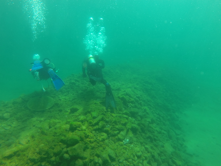 Some organisms taking refuge in artificial cobble reefs in Thunder Bay are invasive, but researchers say they don’t interfere with native species.