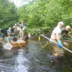 DNR fisheries workers survey a stream