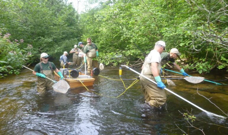 DNR fisheries workers survey a stream