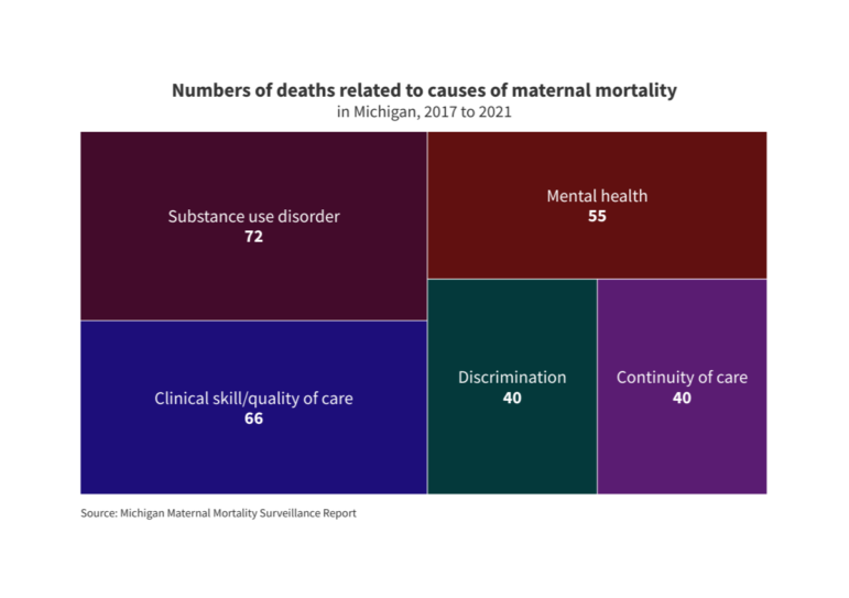 Causes and numbers of maternal mortality.