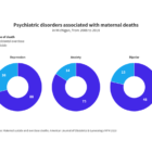 Psychiatric disorders associated with maternal deaths