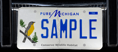 Money from the Kirtland Warbler license plate goes to the Michigan Nongame Fish and Wildlife Trust Fund.