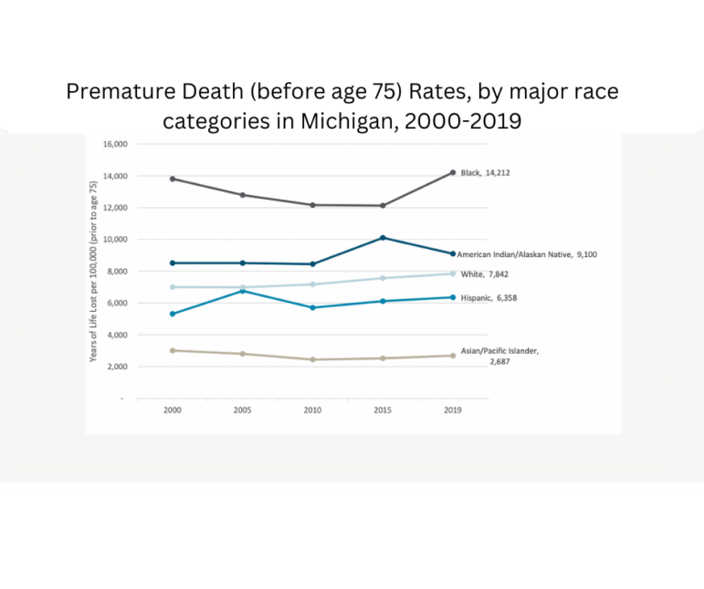 Michigan premature death rates by race, 2000-20019.