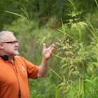 John Rodwan, the environmental director of the Nottawaseppi Band of Huron Potawatomi, stands among the wild rice seed growth on the tribe’s reservation in Kalamazoo County