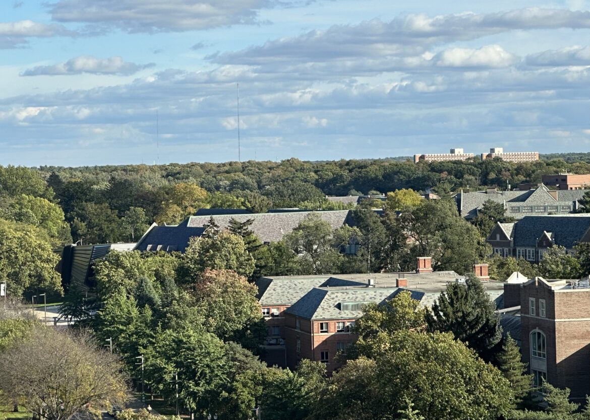 High up view of MSU campus