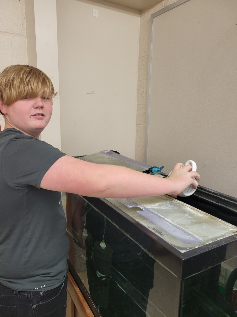 Seventh-grader Keegan Shrader feeds Big Randy at LakeVille Middle School. Shrader and his classmates are responsible for caring for the fish this school year.