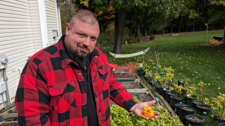 Howell pepper grower Ryan Karcher grows Friar’s Fury chilis in pots in his backyard.