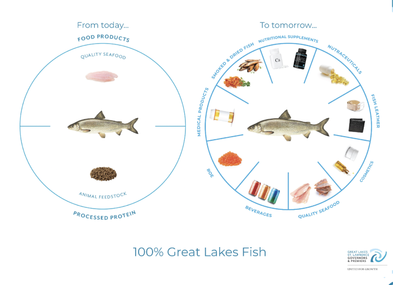 How commercially caught fish are now used and what could be possible if they were fully used.