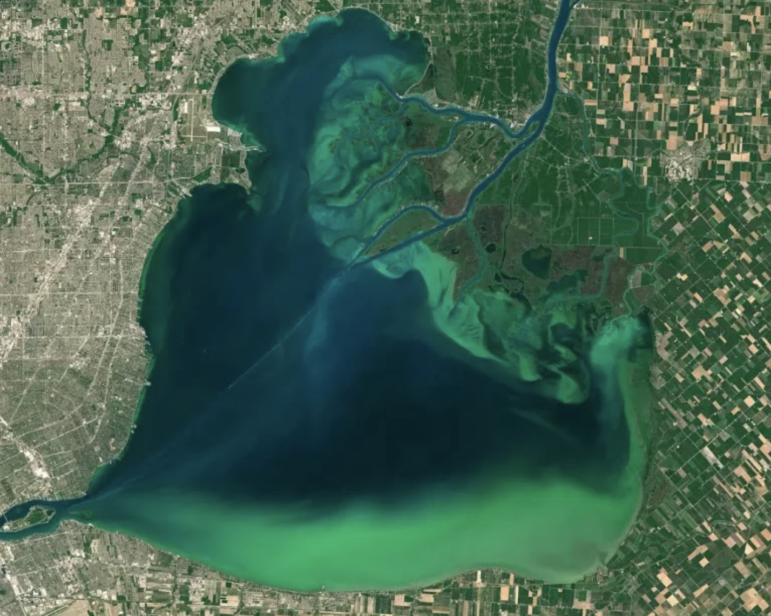 Algal blooms highlight the natural beauty of Lake St. Clair and its canals