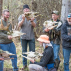 Volunteers on a Moosewatch Expedition search for bones of moose that died in Isle Royale National Park.